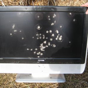 The screen, after being shot  a few times.
