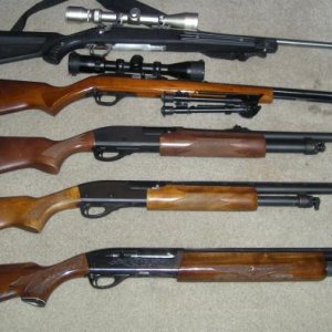 Ruger 243
Marlin Model 60 
Remington 870 12 ga. 
Remington 870 20 ga. 
Remington 1100 12 ga.