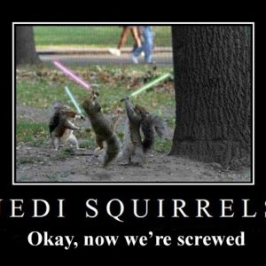 JediSquirrels 1