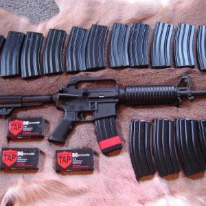 AR with a few mags