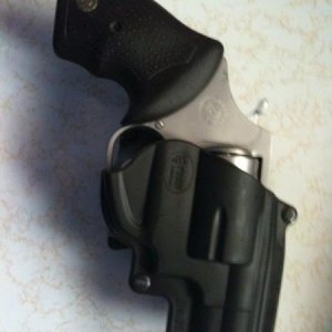 gun in fobus holster