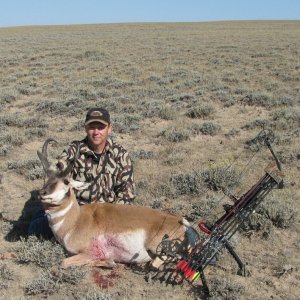 2009 06 Bow Pronghorn Buck small