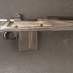 Ruger Scout