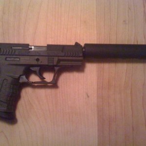 My Walther P.22