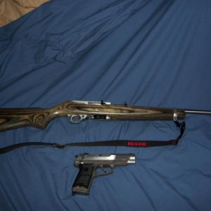 Ruger 10 22 and P85