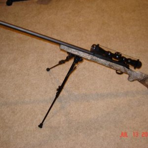 right side, on bipod.
scope 4-12x40