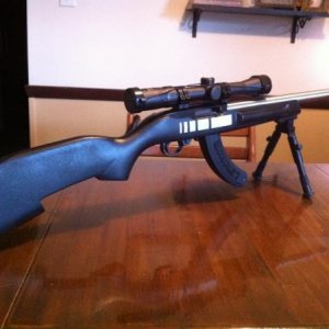 Reworked 10/22 stock and ar-7 ss ported barrel, simmons .22 mag scope, utg bipod.