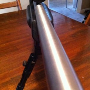 Reworked 10/22 stock and ar-7 ss ported barrel.