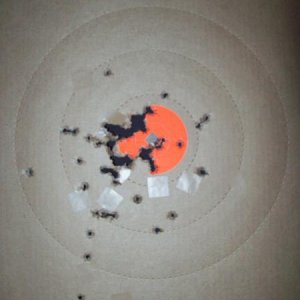 First 100 rounds @ 12 yards. My new G30