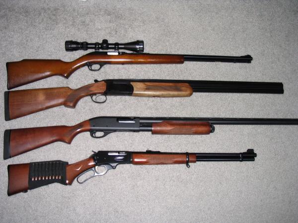 Marlin Model 60 .22
Stoeger 12ga, O/U
Remington 870 12ga,
Marlin 30/30