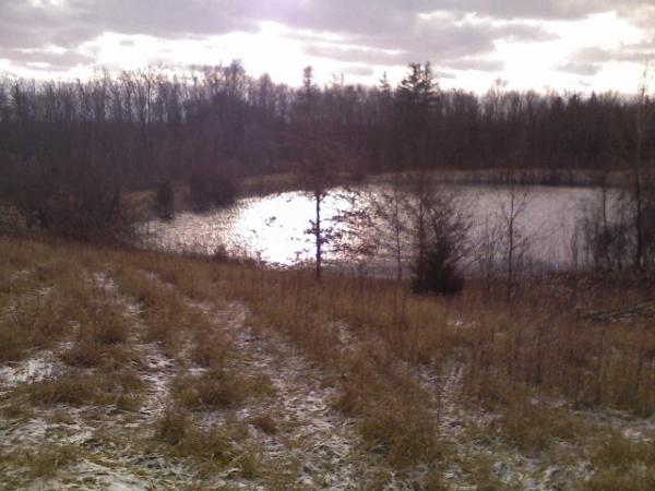 Remote Pond