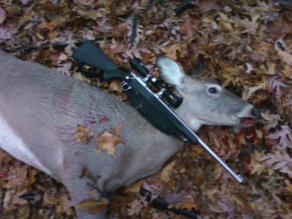 Ruger 77/44s 1st kill